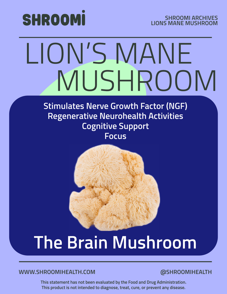 Light Roast Mexico Chiapas with Lion's Mane Mushroom
